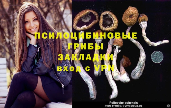 крисы Алзамай